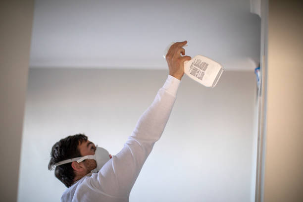 Best Toxic Mold Removal  in Newport, WA