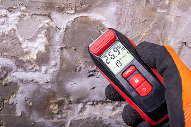 Mold Removal Process in Newport, WA