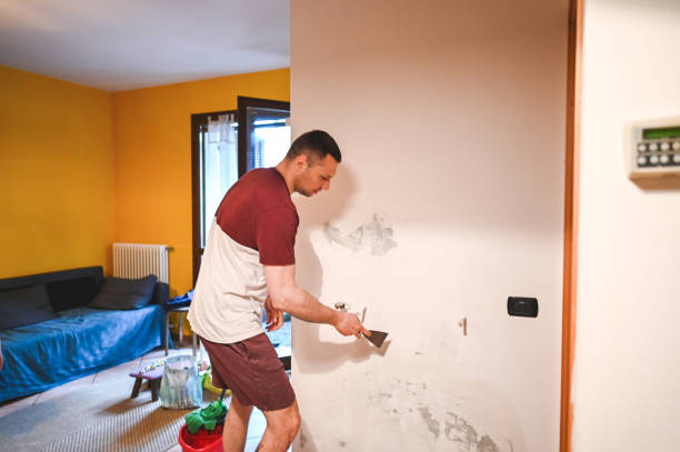 Best Local Mold Removal Service  in Newport, WA